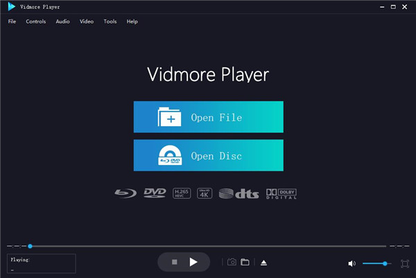 vidmore player破解版