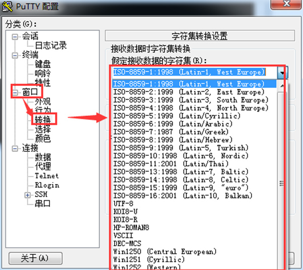 PuTTY中文绿色版