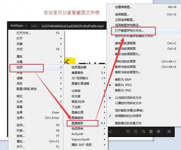 PotPlayer播放器绿色免安装版