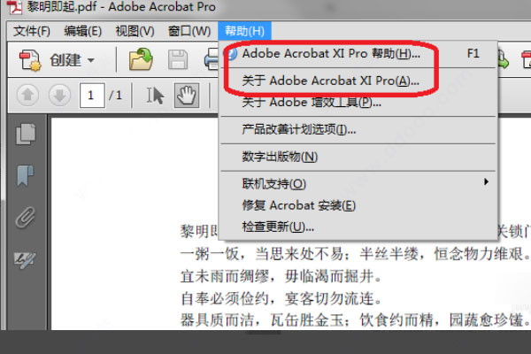 Adobe Acrobat XI Pro绿色免安装版