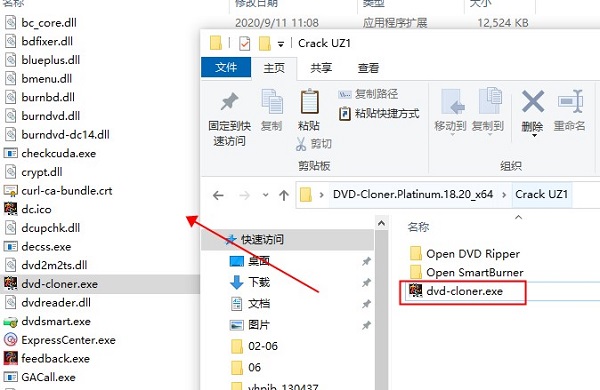 DVD-Cloner Platinum 2021破解版