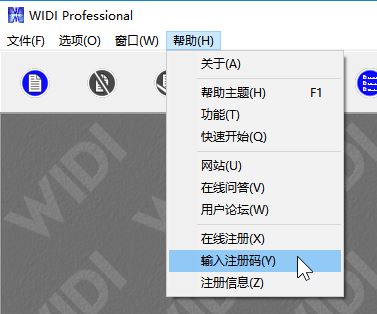 Widi Professional破解版