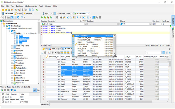 DbVisualizer12破解版