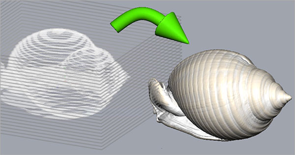 geomagic freeform plus 2021破解版