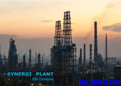 DNV Synergi Plant RBI Onshore破解版