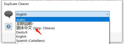 Duplicate Cleaner Pro官方中文破解版