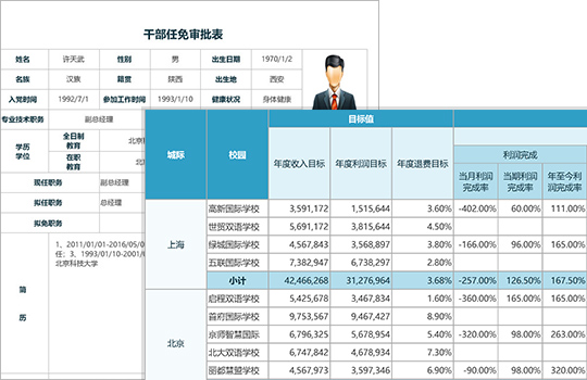 ActiveReports 14中文破解版