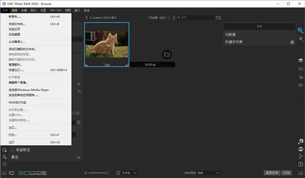 ON1 Photo RAW 2020绿色便携版