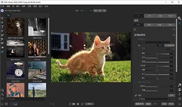 ON1 Photo RAW 2020绿色便携版