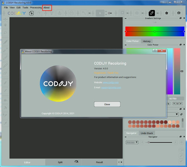 CODIJY Colorizer Pro破解版