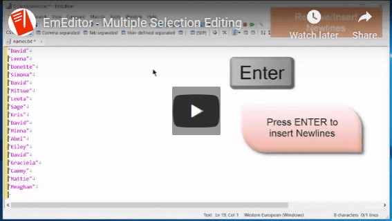 Emurasoft EmEditor Professional 20破解版