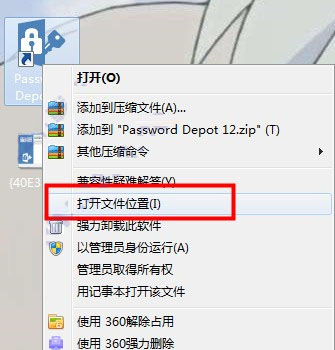 Password Depot 12破解版