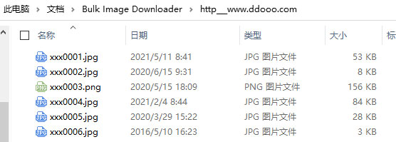 Bulk Image Downloader破解版 