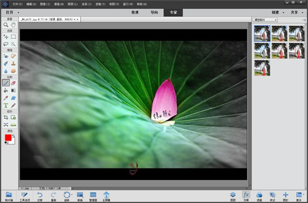 Photoshop Elements 2022破解版