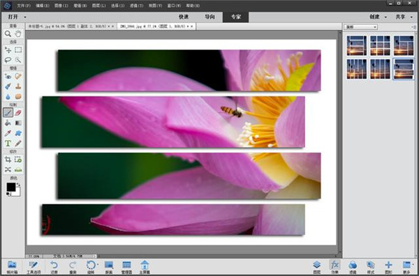 Photoshop Elements 2022破解版