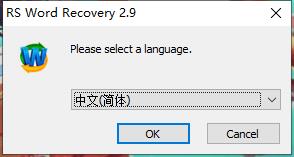 RS Word Recovery破解版