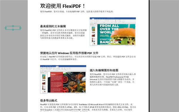 SoftMaker FlexiPDF Pro 2022破解版