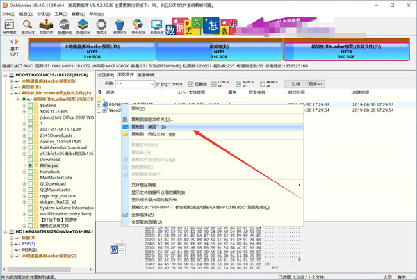 diskgenius5.1绿色专业版