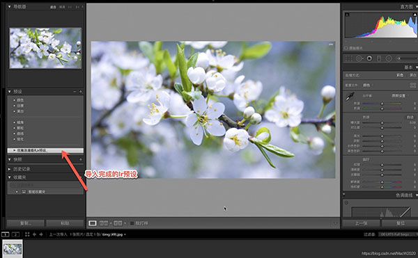 lightroom classic2022破解版