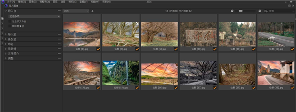 Capture One 22 Pro破解版