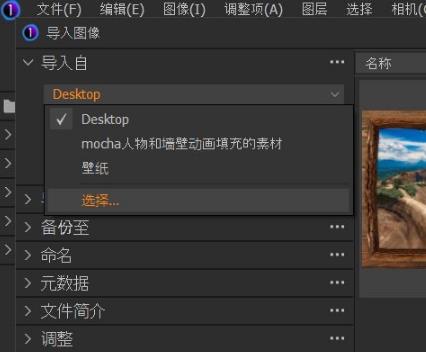 Capture One 22 Pro破解版