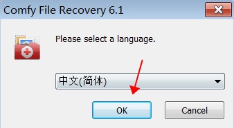 Comfy File Recovery破解版