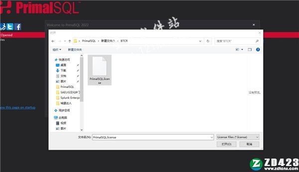 PrimalSQL 2022破解版