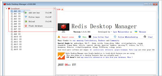 Redis Desktop Manager2022破解版