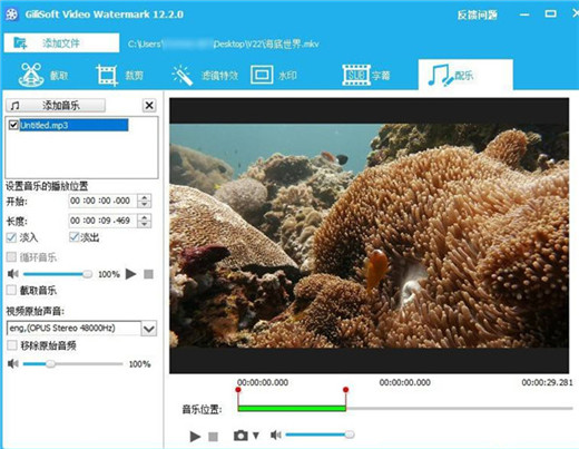 GiliSoft Video Editor 15破解版