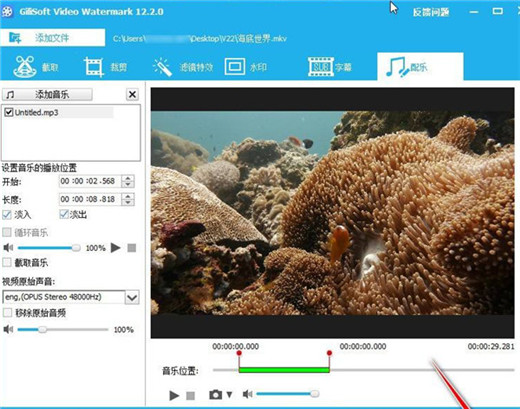 GiliSoft Video Editor 15破解版