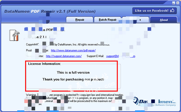 DataNumen PDF Repair破解版