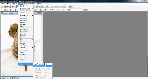 able software r2v for windows汉化版