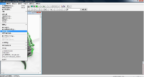 able software r2v for windows汉化版