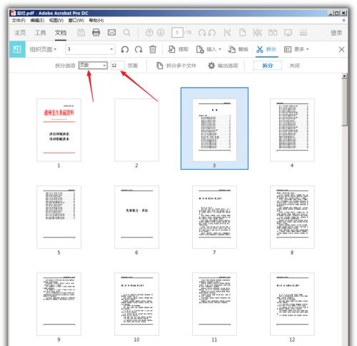 Acrobat Pro DC 2022破解版