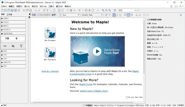 Maplesoft Maple 2022中文破解版