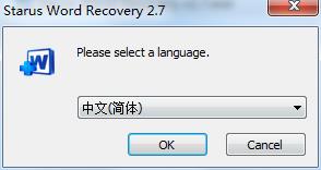 Starus Word Recovery破解版