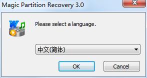 Magic Partition Recovery破解版